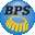 Bearing Packer Systems