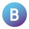 BearingPoint SRL
