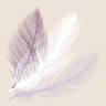 Beautiful Life