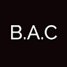Beauty Art Cosmetics