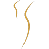 YES VIP Salon Hair Extensions