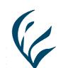B&B Posidonia