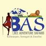 Bee Adventure Safari Tanzania Trekking & safari