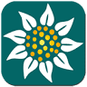 Behn's Best Perennials