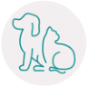 Advanced Veterinary Imaging Canberra