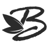 Bellava Inc