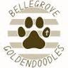Bellegrove Goldendoodles