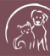 Bellevue Veterinary Hospital