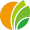 Cocomo Kasuga