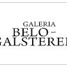 Galeria Belo-Galsterer