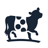 Belted Cow Company Warehouse Store