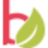 Belvibio