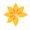 Bem-Me-Quer Flores