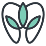 BENE Dental of Norwell