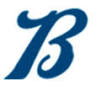 Benestar Balmes