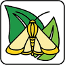 Benzon Research Inc.