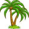 Berkie Palms -Best Plant,Garden Nursery-Landscaping,Gardening Services-Garden Plants Sale Newcastle