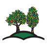 Berrien Dental: Berrien Springs