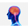 Dr Syed Osman -Best Neurologist in Hyderabad