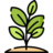 Beukplanten.nl
