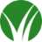 Candice Dibenedetto BHGRE Metro Brokers