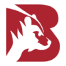 Big Bear Roofing