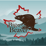Big Beaver Ice Vending Machine