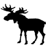 Bigmoose Coffee