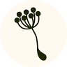 Institut Bio Latitude