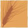 BioBrot