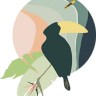 Birds of Paradise