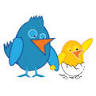 Birdsupply.nl