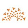 Birla Open Minds International School