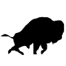 Bison Towing