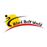 Black Belt World Hillsborough