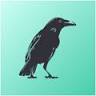 Black Crow Trading Co.