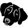 Black Dog Ink