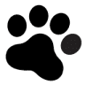 Blackdog Beroun