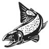 Blackdyke Trout Fishery
