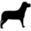 Black Lab Imaging, LLC