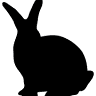 Black Rabbit Farm