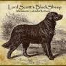Allevamento Labrador Lord Scott's BlackSheep