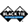 Black Tie Bike Rentals of Whitefish