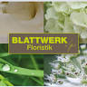 Blattwerk Floristik