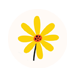Blooming Meadows Farm