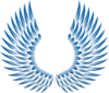 BLUE ANGELS STORE