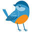 Bluebird Pediatric Dentistry in West Jefferson