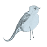 Bluebird