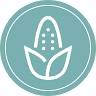 Blue Corn Cafe & Bakery