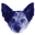 Blue Dog Imaging